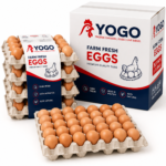Fresh Egg Crates